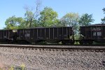 NS 10125